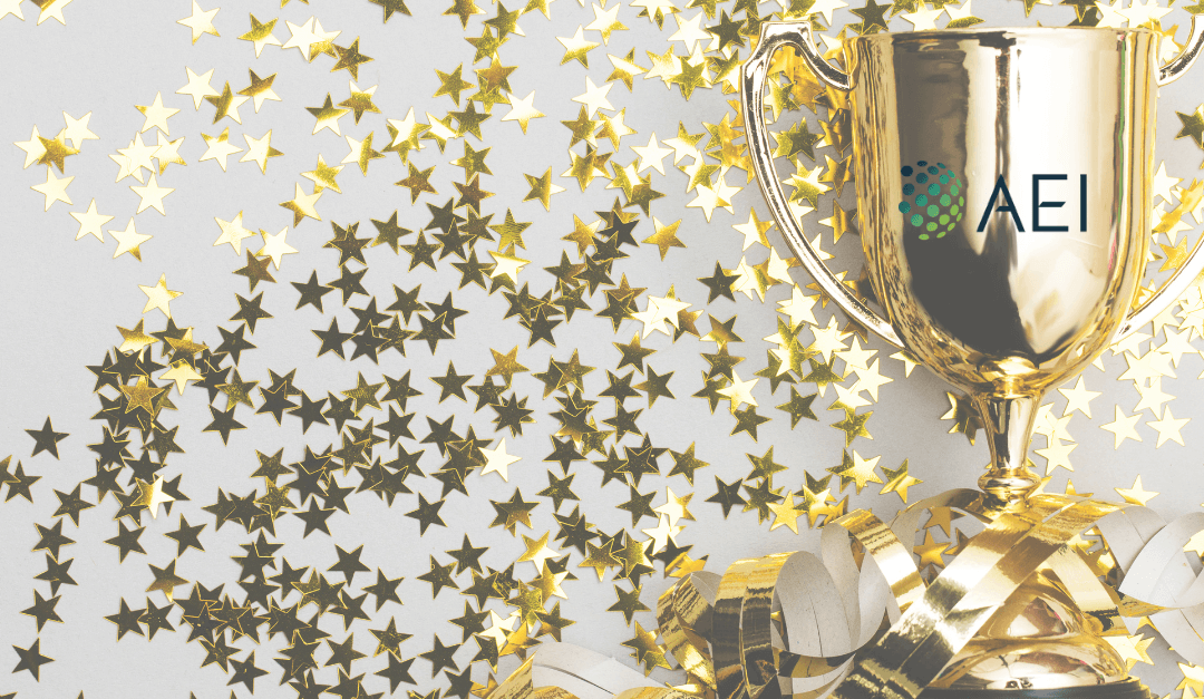 AEI Takes 1st Place in ALTA/NSPS Survey National Competition